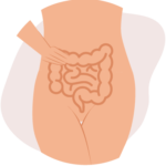 funcionamento-intestino